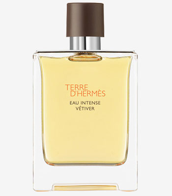 Parfume - Terre dhermes - eau intense vetiver